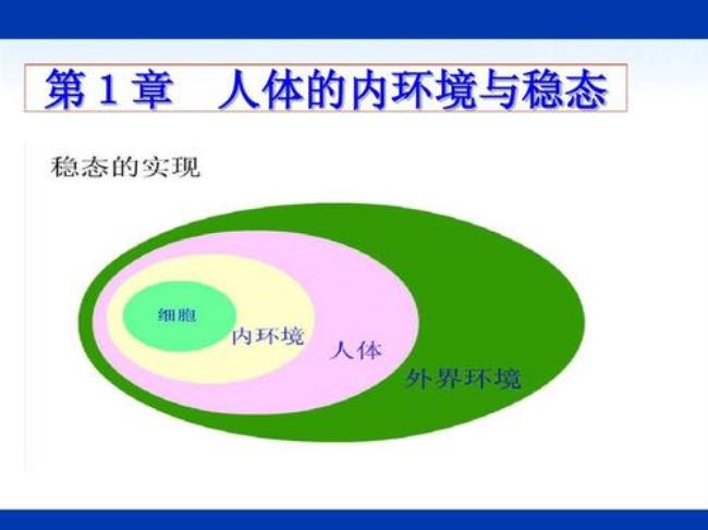 植物细胞的内环境是什么