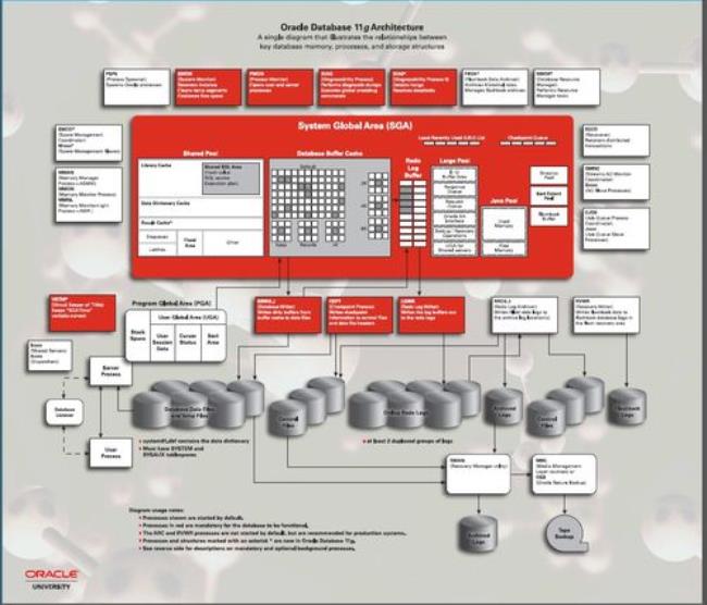 oracle是什么意思是