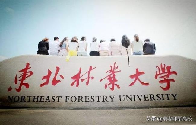 东北农业大学是958还是211