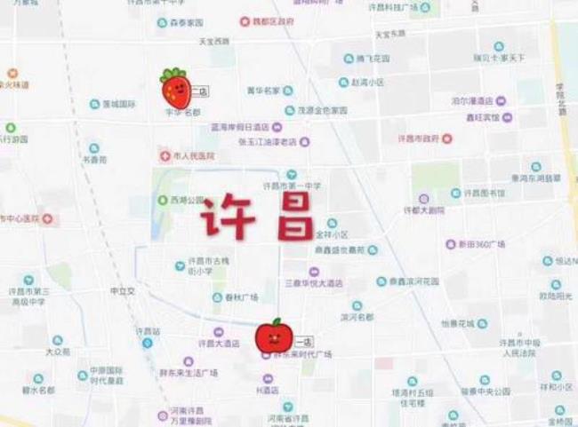 郑州市职介中心地址在什么地方