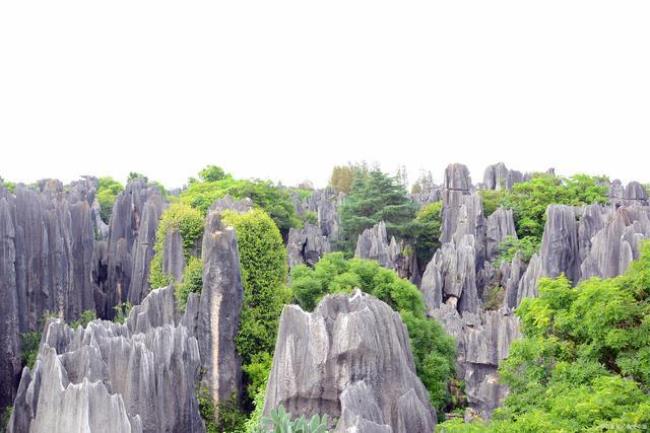 喀斯特地貌属于什么土地