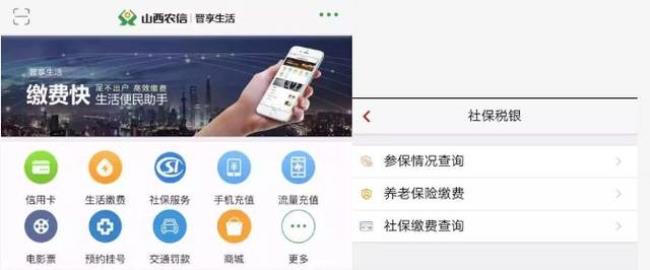 80岁老人养老金年审下载什么APP