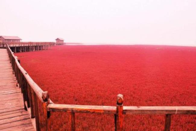 中国最先开放的八大景区