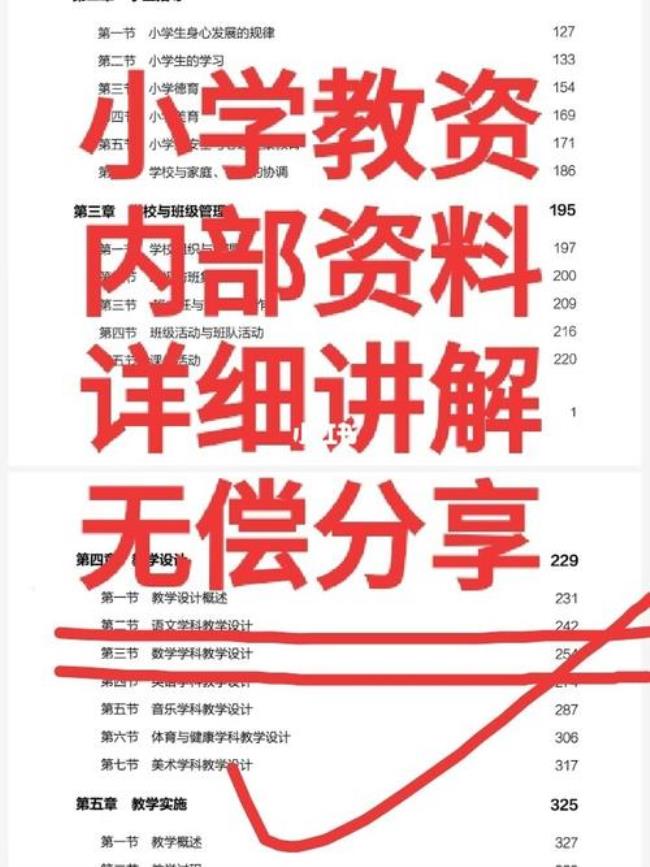 小学教资为什么不分科目