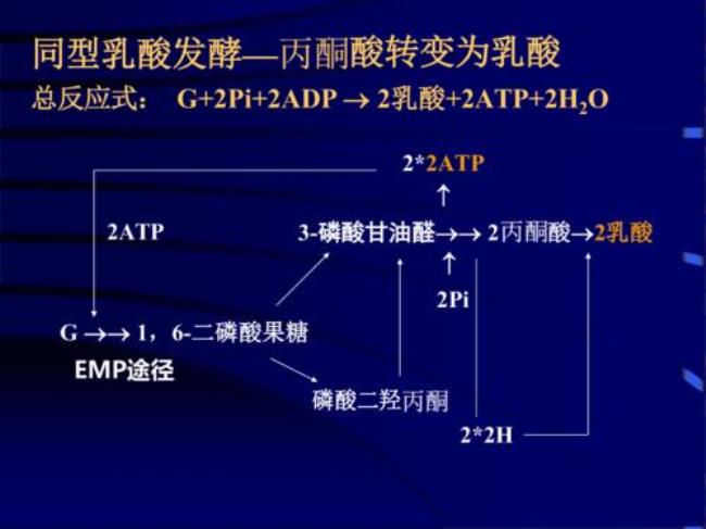 糖异生是糖酵解的简单逆行吗