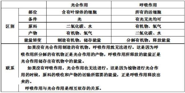 呼吸作用的能量转化