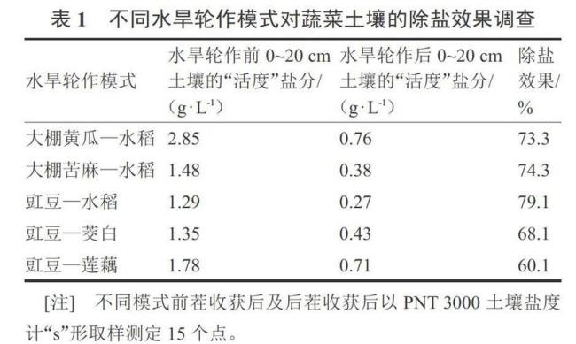 华北平原次生盐渍化的时间