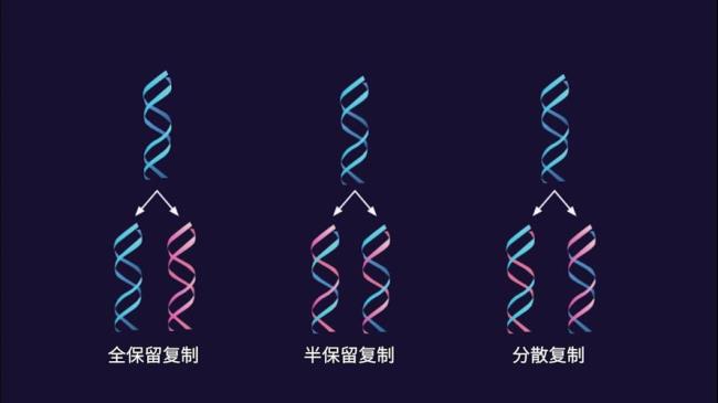 dna半保留复制解题技巧