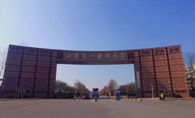 山东医科大学是什么级别