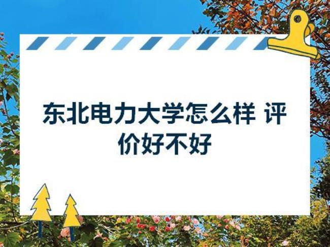 东北电力大学东校区有多少人