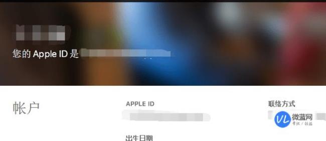 appleid用什么注册好点