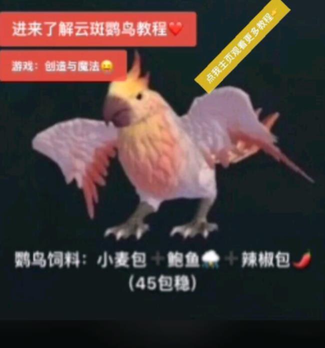 创造与魔法怎么最快抓到鸟