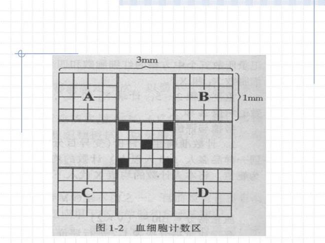 细胞计数公式