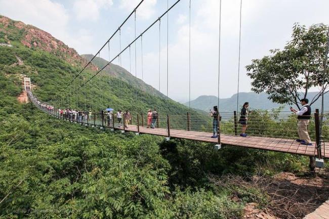 伏羲山大峡谷哪个区