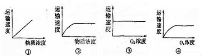 主动运输和被动扩散的区别