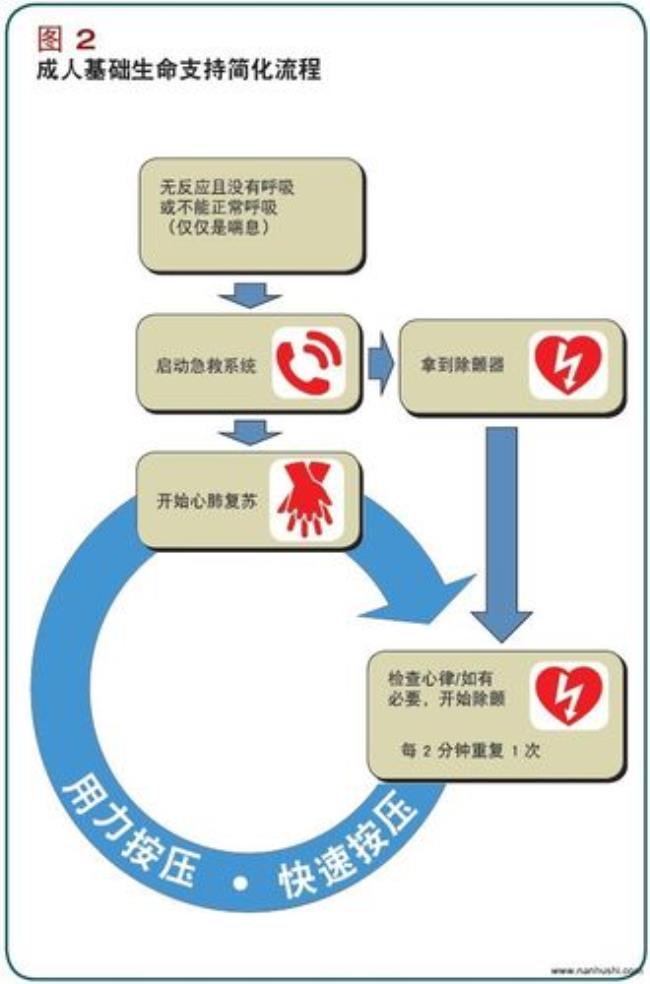 心肺复苏的频率