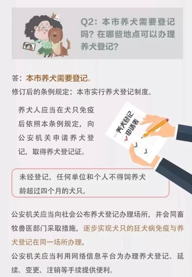 上海市非法养狗扰民怎么办