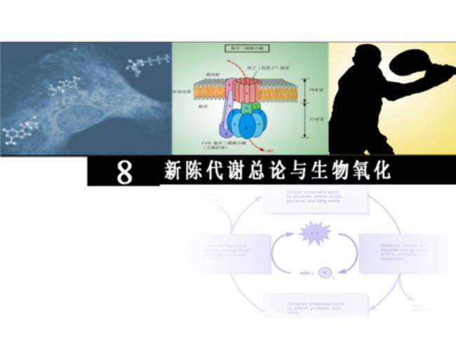 化学与生物有什么联系