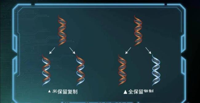 DNA半保留复制是如何被发现的