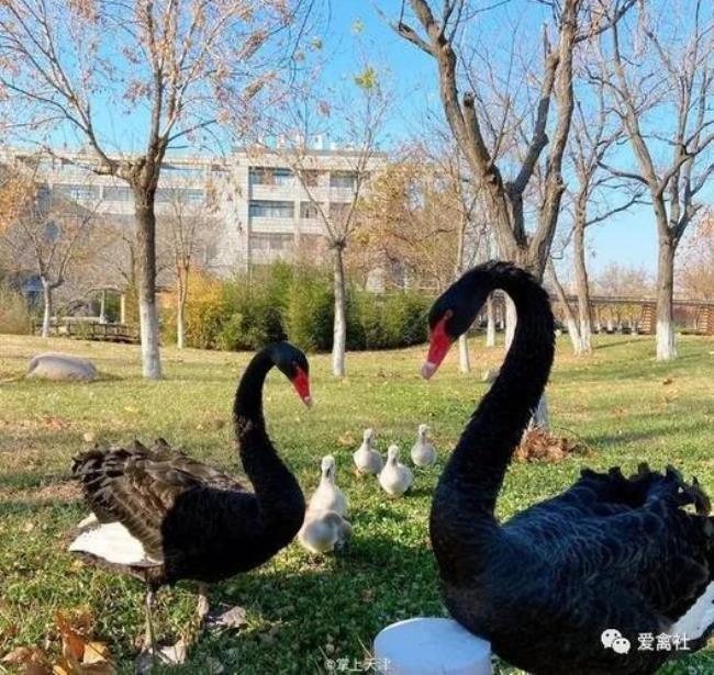 能考上天津师范大学值得高兴吗