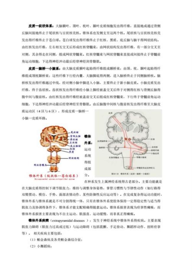 锥体束征包括