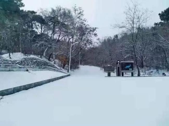 清明刮大风下雪好吗