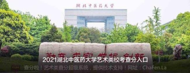 湖北中医药大学文科专业有哪些