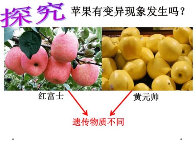 生物现象是什么意思