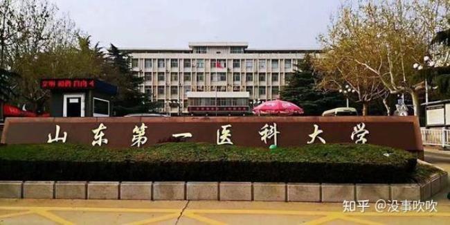 山东医学院好不好