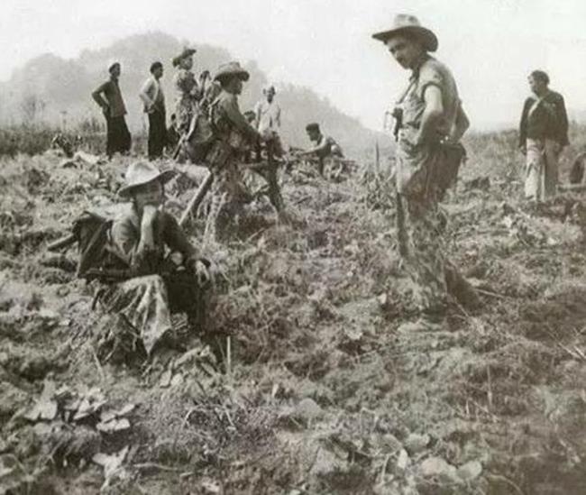 1949年底越南实行哪种兵役制度