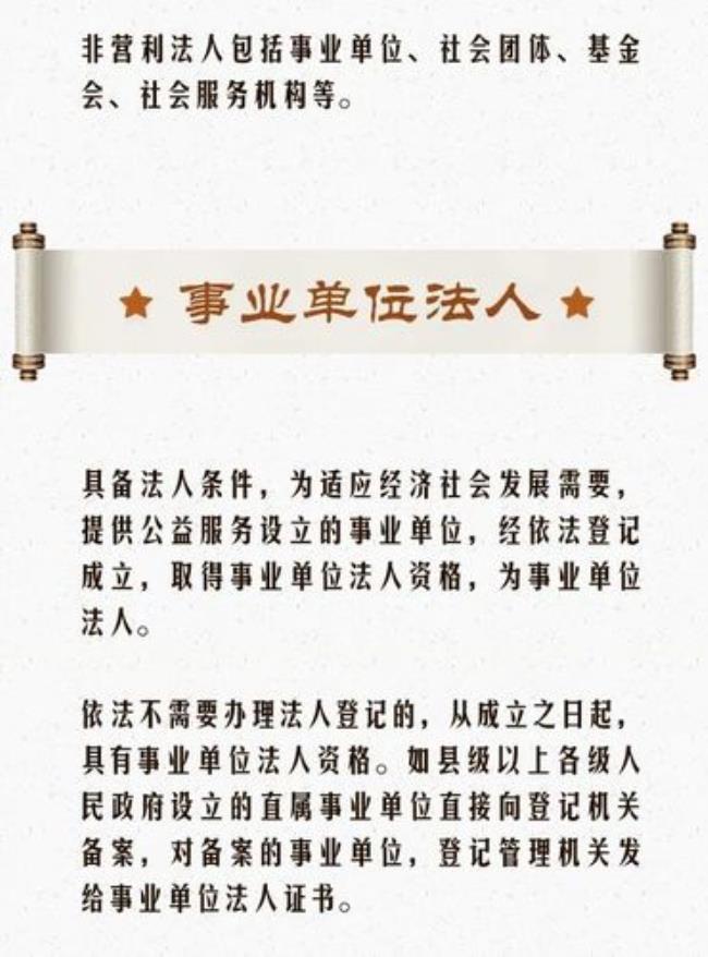 同一法人定义