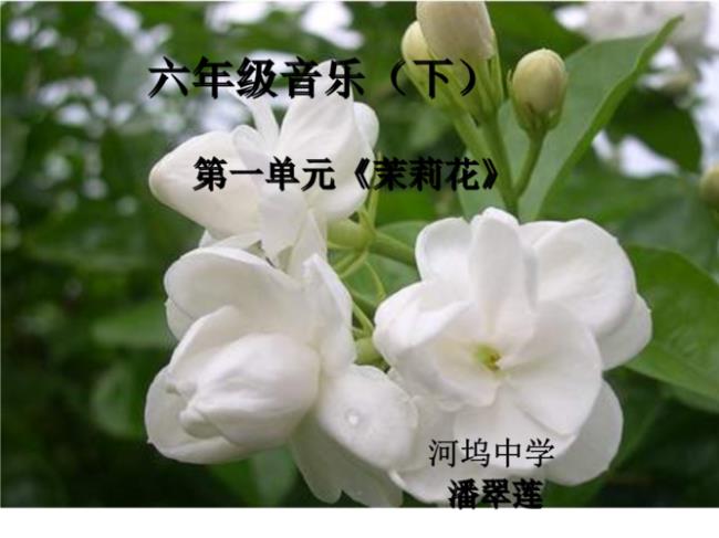 茉莉花属于什么音乐