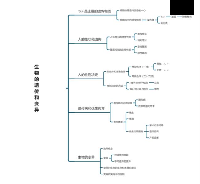 生命体的共同特征是哪三个