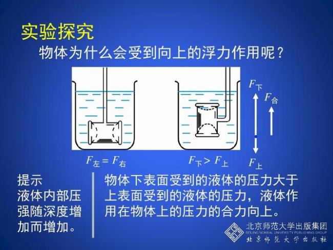 不影响浮力的因素