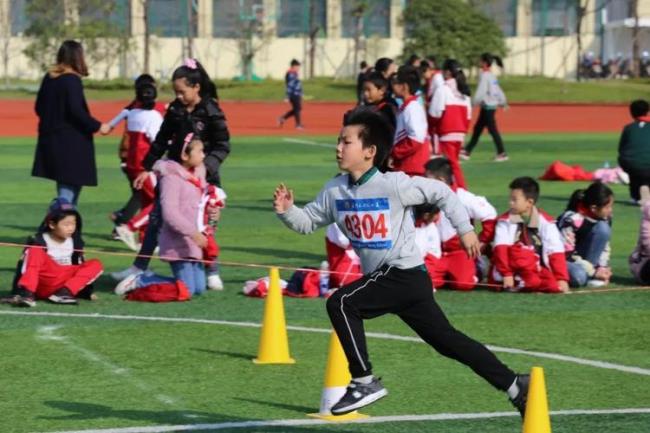 小学体育运动会项目有那些