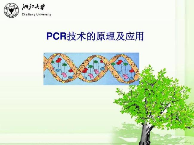 pcr反应原理和意义