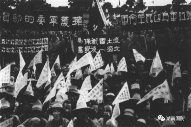 农民是国民革命的主力军