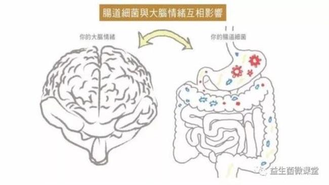 人类的感情是由什么神经控制的