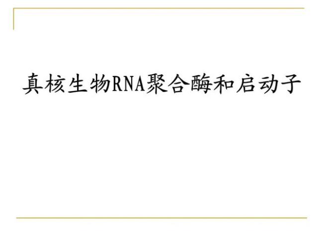 rna生物学功能