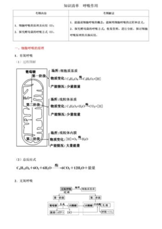 呼吸作用来源去路