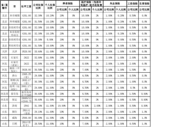 社保个人总额是什么意思