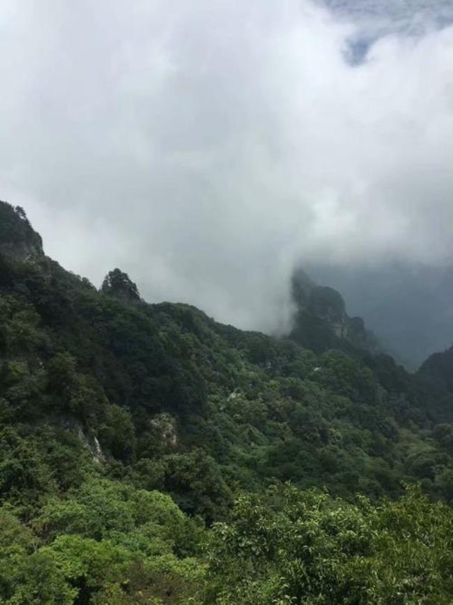 宜昌最高山峰排名