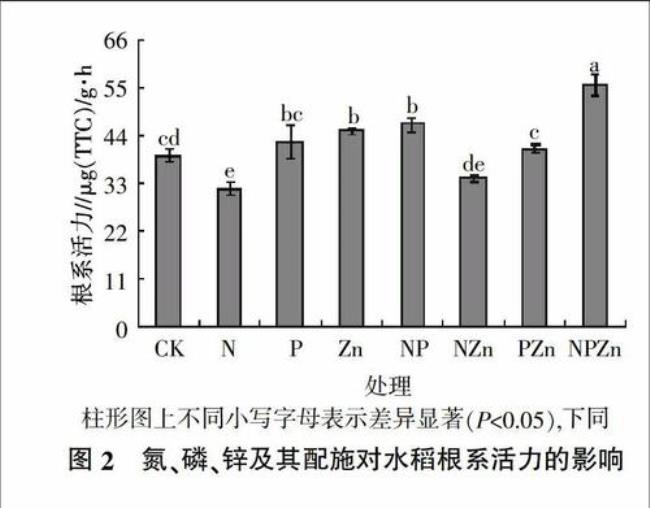 酶和耐盐性的关系