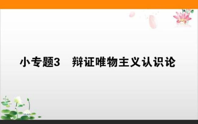 认识论属于辩证唯物主义吗