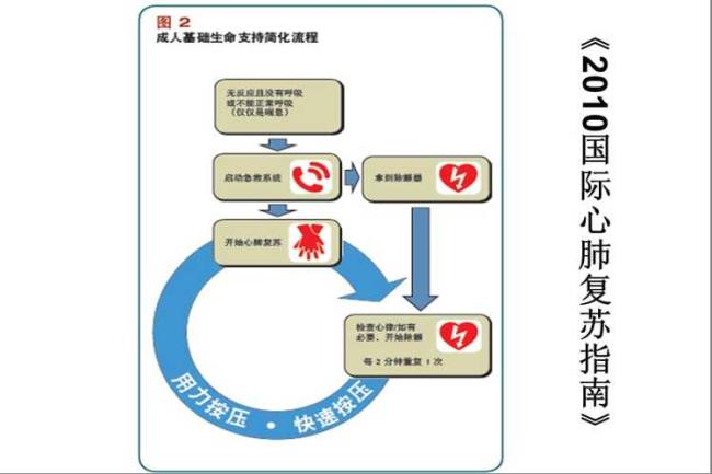 如何使用AED机的教案