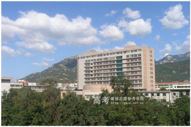 山东林业大学概况