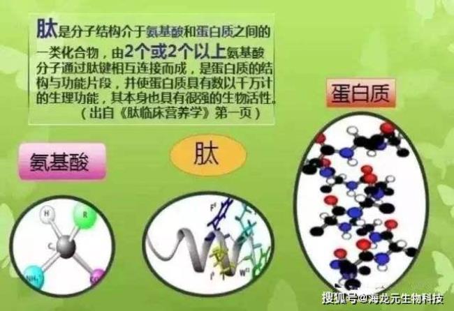 哪些物质的化学本质是蛋白质