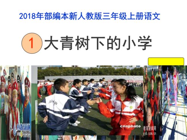 大青树下的小学体会到了什么