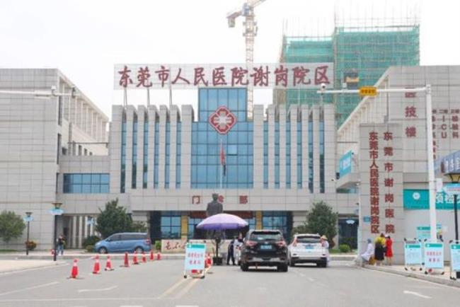 东莞市人民医院怎么样