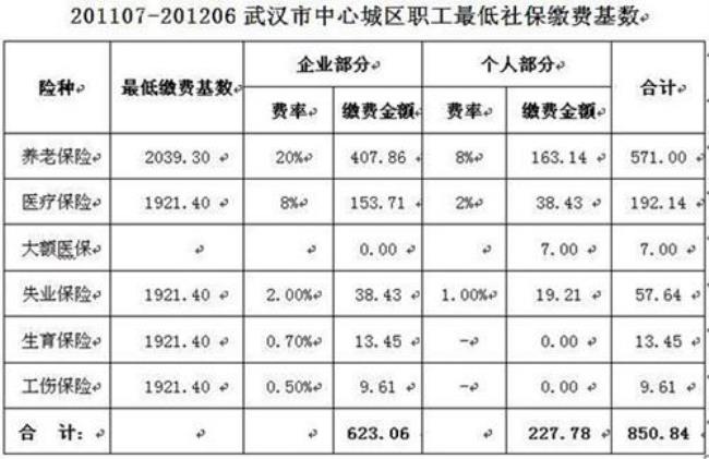 武汉单位社保缴费明细怎么下载